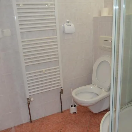 U Kaplicky Guest house
